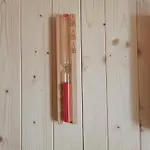 Medola *
